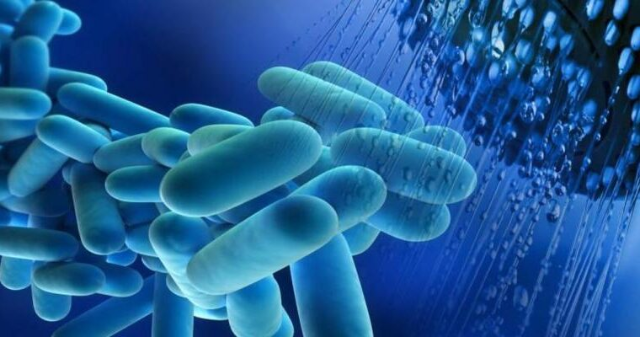 Casi legionella, la situazione di Buccinasco