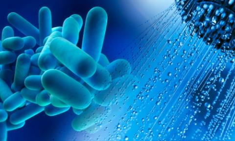 Legionella, non ci sono nuovi casi a Buccinasco (aggiornamento 18 settembre 2024)