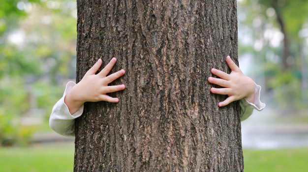 mani-del-bambino-che-abbraccia-un-tronco-d-39-albero-nel-parco-naturale_38678-427
