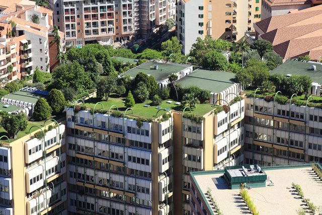 incentivi-per-tetti-verdi
