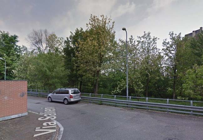 Alberi abbattuti in via Salieri, la ditta non lavorerà più per il Comune